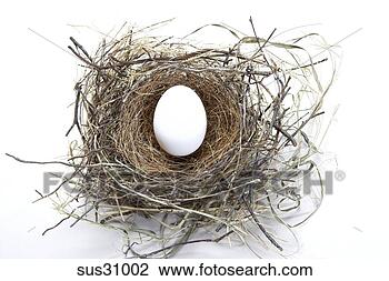 Stock Photo - studio shot of 
bird’s nest with 
egg. fotosearch 
- search stock 
photos, pictures, 
images, and photo 
clipart
