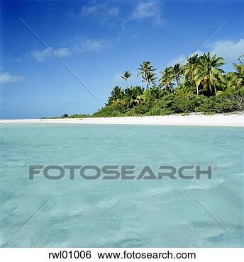 Stock Photo - tropical beach. 
fotosearch - search 
stock photos, 
pictures, images, 
and photo clipart