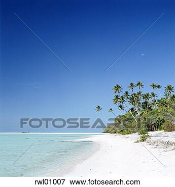 Picture - tropical beach. 
fotosearch - search 
stock photos, 
pictures, images, 
and photo clipart