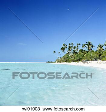 Stock Photo - tropical beach. 
fotosearch - search 
stock photos, 
pictures, images, 
and photo clipart