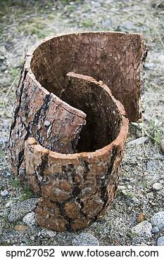 Stock Photo - two semi-circles 
of tree bark. 
fotosearch - search 
stock photos, 
pictures, images, 
and photo clipart