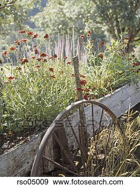 Stock Photograph - wheelbarrow overgrown 
with plants. fotosearch 
- search stock 
photos, pictures, 
images, and photo 
clipart