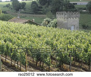 Stock Photo - wine chateau and 
vineyards in bordeaux, 
france. fotosearch 
- search stock 
photos, pictures, 
images, and photo 
clipart