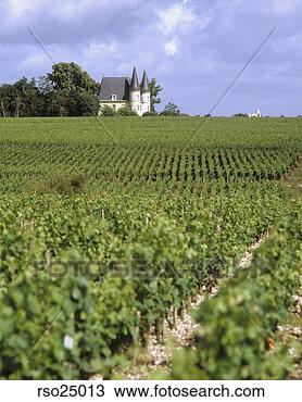 Stock Photo - wine chateau and 
vineyards in bordeaux, 
france. fotosearch 
- search stock 
photos, pictures, 
images, and photo 
clipart