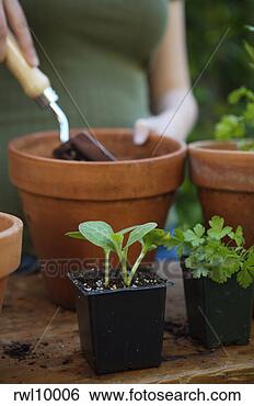 Stock Photo - woman potting 
plants. fotosearch 
- search stock 
photos, pictures, 
images, and photo 
clipart