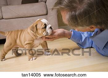 Stock Image - woman scratching 
under puppy’s 
chin. fotosearch 
- search stock 
photos, pictures, 
images, and photo 
clipart