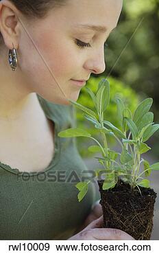 Stock Photograph - woman smelling 
sage plant. fotosearch 
- search stock 
photos, pictures, 
images, and photo 
clipart