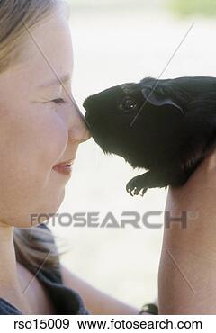 Stock Photograph - young girl touching 
nose with guinea 
pig. fotosearch 
- search stock 
photos, pictures, 
images, and photo 
clipart