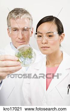 Arquivo de Fotografia - multi-étnico, 
 cientistas,  
examinando,  petri, 
 prato. fotosearch 
- busca de fotos, 
imagens e clipart