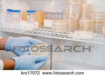 Stock Photo - scientist holding 
specimen in petri 
dish. fotosearch 
- search stock 
photos, pictures, 
images, and photo 
clipart