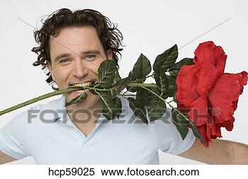 Stock Image - man holding oversized 
flower between 
his teeth. fotosearch 
- search stock 
photos, pictures, 
images, and photo 
clipart