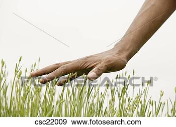 Stock Photograph - african man feeling 
grass. fotosearch 
- search stock 
photos, pictures, 
images, and photo 
clipart