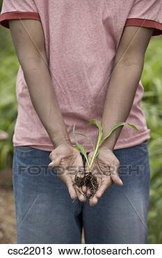 Stock Photo - african man holding 
plant root. fotosearch 
- search stock 
photos, pictures, 
images, and photo 
clipart