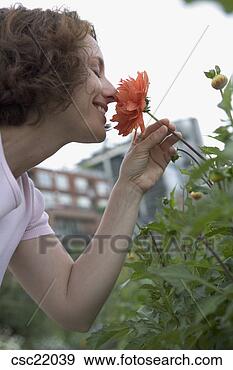 Stock Photograph - woman smelling 
flower. fotosearch 
- search stock 
photos, pictures, 
images, and photo 
clipart