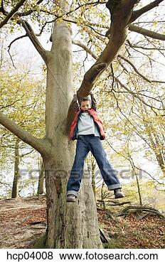 Stock Photo - boy playing on 
tree. fotosearch 
- search stock 
photos, pictures, 
images, and photo 
clipart