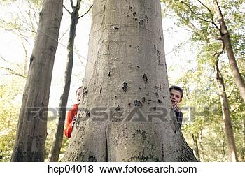 Stock Photo - children playing 
hide and seek 
in forest. fotosearch 
- search stock 
photos, pictures, 
images, and photo 
clipart