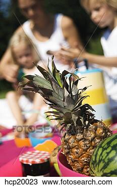 Banco de Imagem - fruta,  tigela, 
 pessoas,  saída, 
 foco. fotosearch 
- busca de fotos, 
imagens e clipart