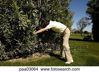 Stock Photo - man searching 
for a golf ball. 
fotosearch - search 
stock photos, 
pictures, images, 
and photo clipart