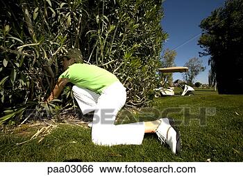 Stock Photo - woman searching 
for a golf ball. 
fotosearch - search 
stock photos, 
pictures, images, 
and photo clipart