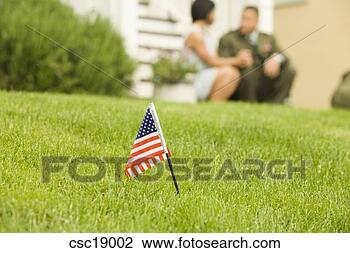 Banco de Imagem - minúsculo,  americano, 
 bandeira,  gramado. 
fotosearch - busca 
de fotos, imagens 
e clipart
