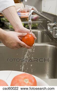 Banco de Imagem - lavando,  tomate. 
fotosearch - busca 
de fotos, imagens 
e clipart