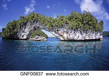 Picture - micronesia, palau 
islands. fotosearch 
- search stock 
photos, pictures, 
images, and photo 
clipart