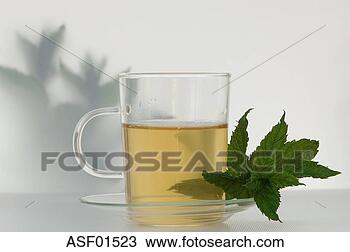 Stock Photo - peppermint tea. 
fotosearch - search 
stock photos, 
pictures, images, 
and photo clipart