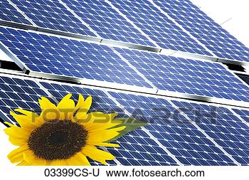 Stock Photo - sunflower against 
solar panels, 
close-up. fotosearch 
- search stock 
photos, pictures, 
images, and photo 
clipart