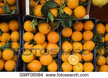 Stock Photo - oranges in crates, 
market stall, 
elevated view. 
fotosearch - search 
stock photos, 
pictures, images, 
and photo clipart