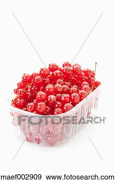 Stock Photograph of Redcurrant in plastic conta