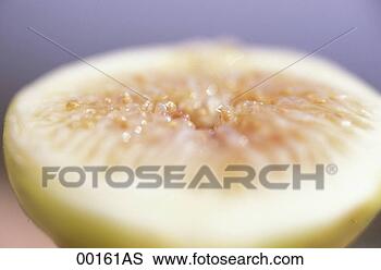 Banco de Imagem - cortado,  figo, 
 obscurecido. 
fotosearch - busca 
de fotos, imagens 
e clipart
