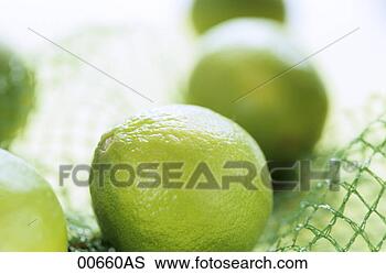 Banco de Imagem - limas,  rede, 
 extremo,  fim, 
 cima. fotosearch 
- busca de fotos, 
imagens e clipart