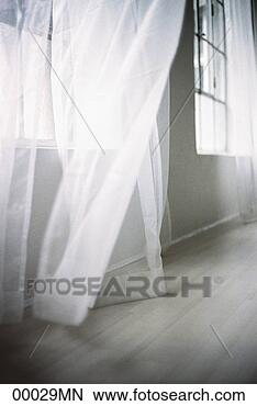 Banco de Imagem - soprando,  branca, 
 cortina. fotosearch 
- busca de fotos, 
imagens e clipart