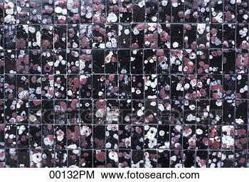 Banco de Imagem - glazed,  azulejos. 
fotosearch - busca 
de fotos, imagens 
e clipart