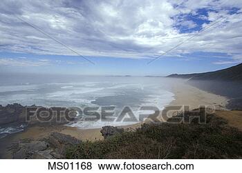 Banco de Imagem - brenton-on-sea, 
  manhã,   névoa, 
  jardim,   rota, 
  ocidental. fotosearch 
- busca de fotos, 
imagens e clipart