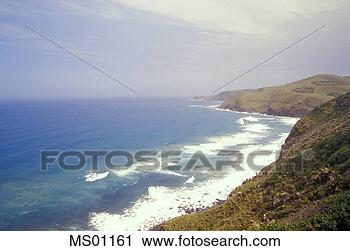 Arquivo de Fotografia - litoral,  café, 
 baía,  oriental, 
 capa,  sul,  
áfrica. fotosearch 
- busca de fotos, 
imagens e clipart