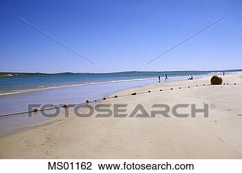 Banco de Imagem - praia,  langebaan, 
 ocidental,  capa, 
 sul,  áfrica. 
fotosearch - busca 
de fotos, imagens 
e clipart