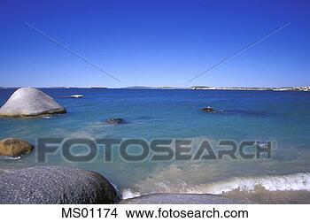 Banco de Imagem - praia,  langebaan, 
 ocidental,  capa, 
 sul,  áfrica. 
fotosearch - busca 
de fotos, imagens 
e clipart
