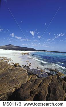 Banco de Imagem - scarborough,  
praia,  scarborough, 
 ocidental,  capa, 
 capetown,  sul. 
fotosearch - busca 
de fotos, imagens 
e clipart