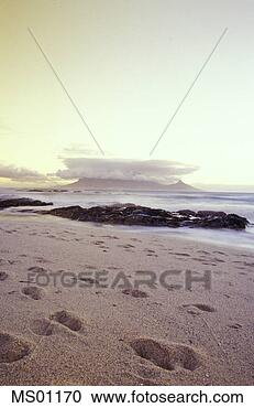 Arquivo de Fotografias - tabela,  baía, 
 tabela,  montanha, 
 capetown,  ocidental, 
 capa. fotosearch 
- busca de fotos, 
imagens e clipart