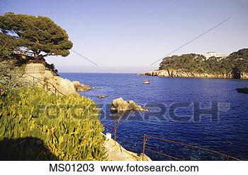 Banco de Imagem - fornells,  baía, 
 aiguablava,  
costa,  brava, 
 catalonia,  espanha. 
fotosearch - busca 
de fotos, imagens 
e clipart