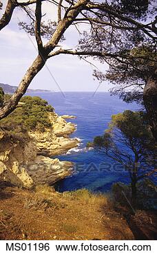 Stock Photo - view of sea from 
mountain top, 
 near tossa de 
mar,  costa brava. 
fotosearch - search 
stock photos, 
pictures, images, 
and photo clipart