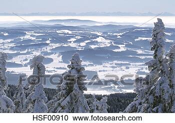 Arquivo de Fotografias - alemanha,  bavarian, 
 floresta,  dreisessel. 
fotosearch - busca 
de fotos, imagens 
e clipart