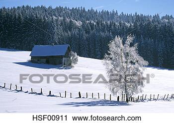 Arquivo de Fotografia - alemanha,  bavarian, 
 floresta,  breitenberg. 
fotosearch - busca 
de fotos, imagens 
e clipart