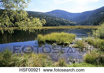Arquivo de Fotografia - kleiner,  arbersee, 
 bavarian,  floresta, 
 alemanha. fotosearch 
- busca de fotos, 
imagens e clipart