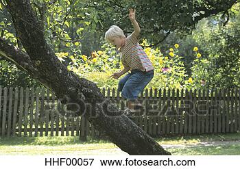 Foto - menino,  equilibrar, 
 árvore. fotosearch 
- busca de fotos, 
imagens e clipart
