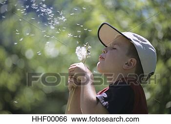Banco de Imagem - menino,  soprando, 
 dandelion,  sementes, 
 lado,  vista. 
fotosearch - busca 
de fotos, imagens 
e clipart