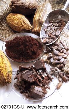 Banco de Imagem - cacau,  vagens, 
 chocolate,  produto. 
fotosearch - busca 
de fotos, imagens 
e clipart
