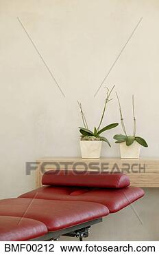 Banco de Imagem - reclinar,  cadeira, 
 pote,  plantas. 
fotosearch - busca 
de fotos, imagens 
e clipart