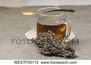 Banco de Imagem - glas,  herbário, 
 chá,  mugwort. 
fotosearch - busca 
de fotos, imagens 
e clipart